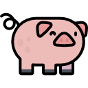 Pig