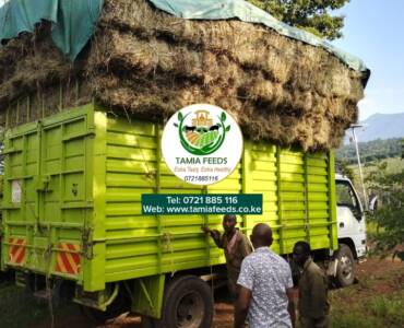 Madam Jackline – From Kenol, Murang’a County
