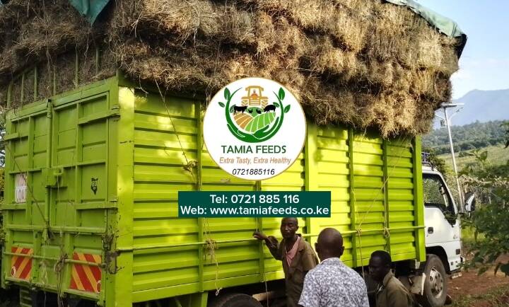 Madam Jackline – From Kenol, Murang’a County