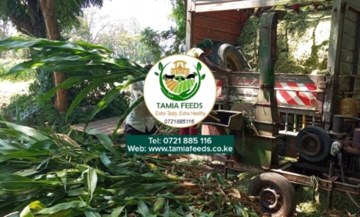 Mr Siriai – From Namanga, Kajiado County