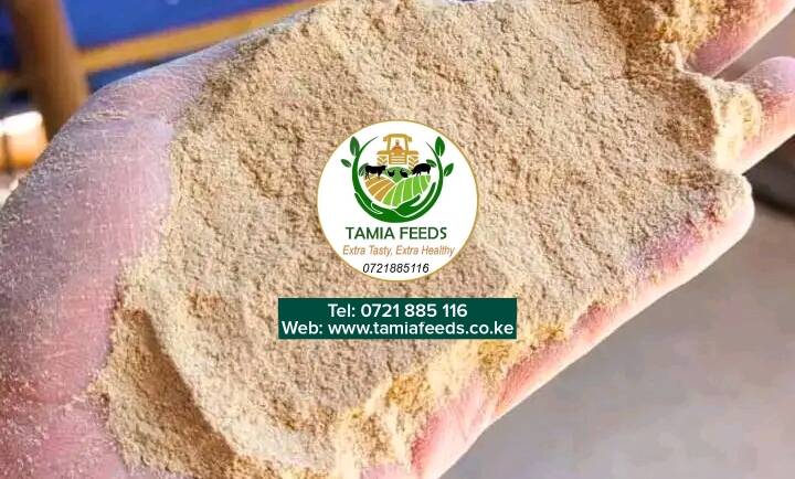 How to Feed Cows with Rice Bran