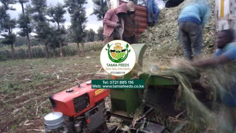 Madam Lucy  – From Kieni, Nyeri County