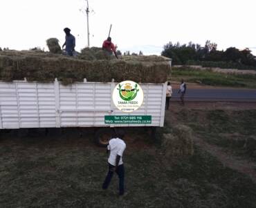 Madam Rose – From Mukuyu, Murang’a County