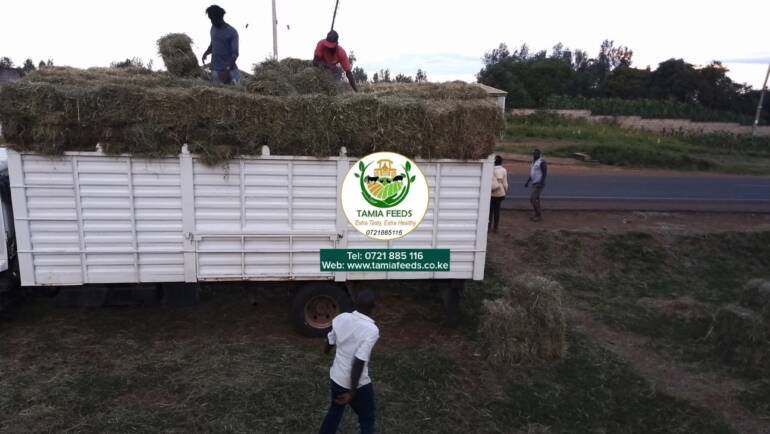 Madam Rose – From Mukuyu, Murang’a County