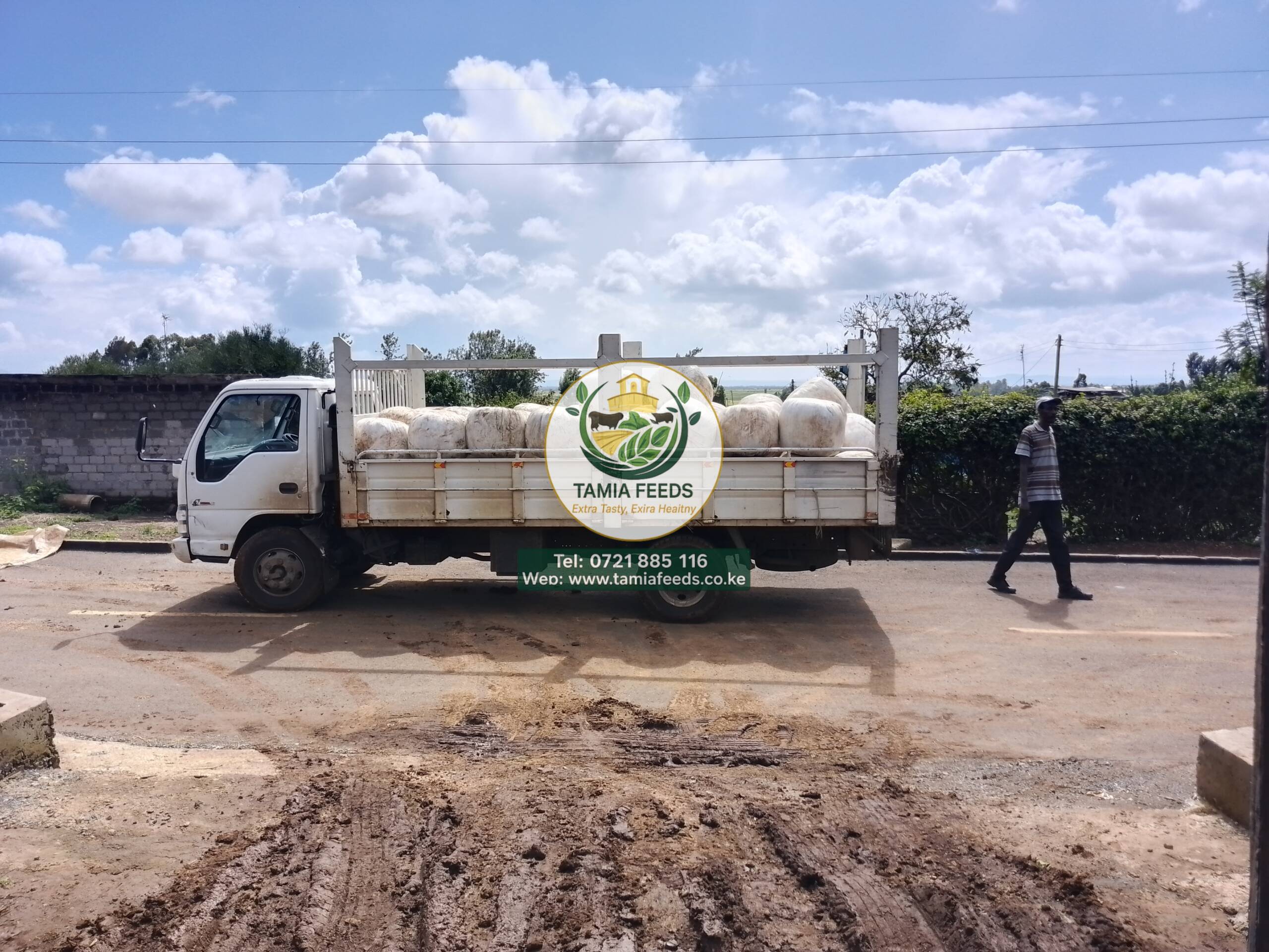 Full Corn Baled Silage - Image 2
