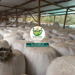 Full Corn Baled Silage