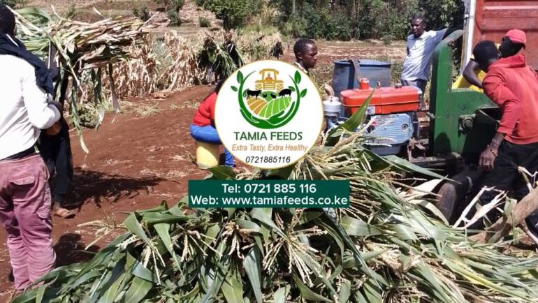 Madam Karimi – from Tigania, Meru County