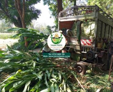 Mr. Emmanuel Siriai – From Namanga, Kajiado County