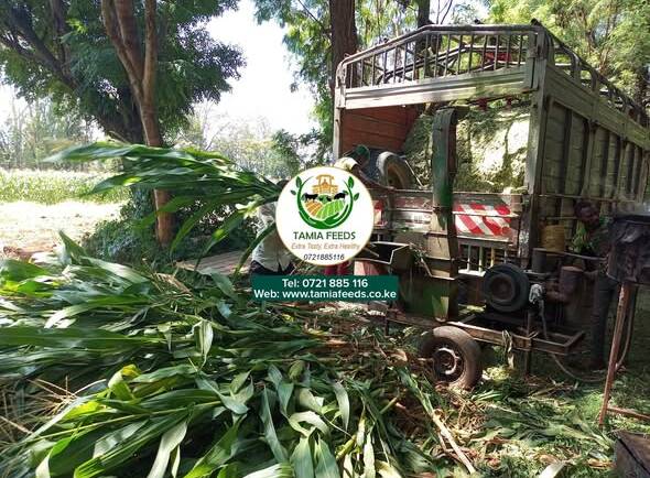 Mr. Emmanuel Siriai – From Namanga, Kajiado County