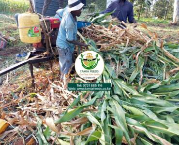 Madam Kibe – From Kiharu, Murang’a County.
