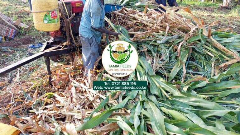 Madam Kibe – From Kiharu, Murang’a County.