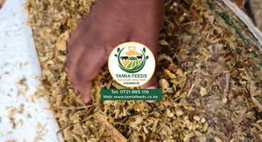 Forage Quality Assessment