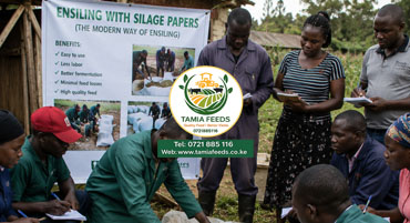 Silage Training Services