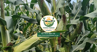 Farm Products