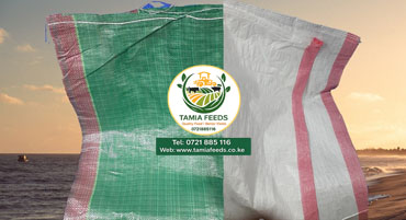 Feed Storage & Handling Products