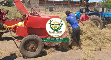 Hay Baling Services