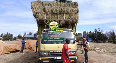 Hay Products