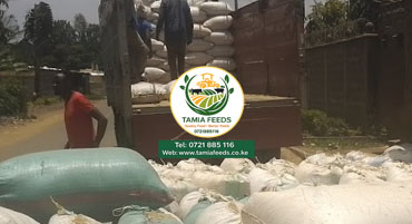 Animal Feed Ingredients