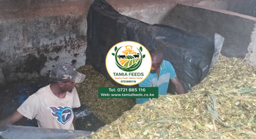 Silage Making Services