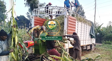 Silage Products