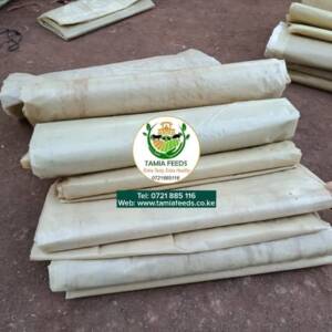 X Greenhouse Polythene Papers